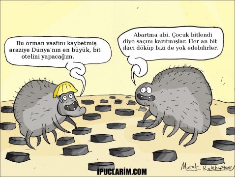 Bit ve Sirke Nasıl Temizlenir, Bit Neden Olur ?
