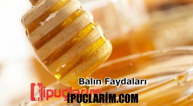 balin faydalari nelerdir