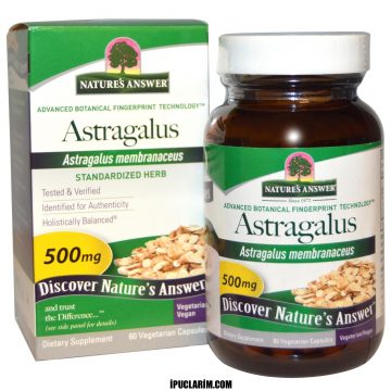 Astragalus