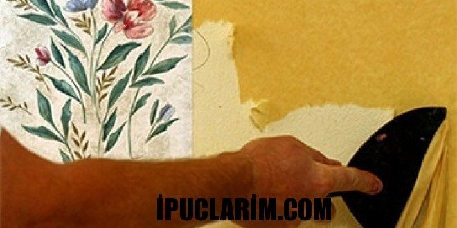 timthumb.php