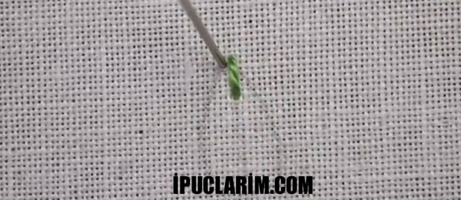 Yaprak modeli 5