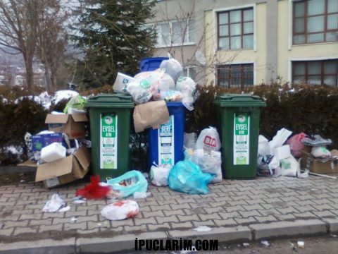 Çöp kutularındaki kokuyu ne giderir, Çöpteki böceklerden kurtulma yolları